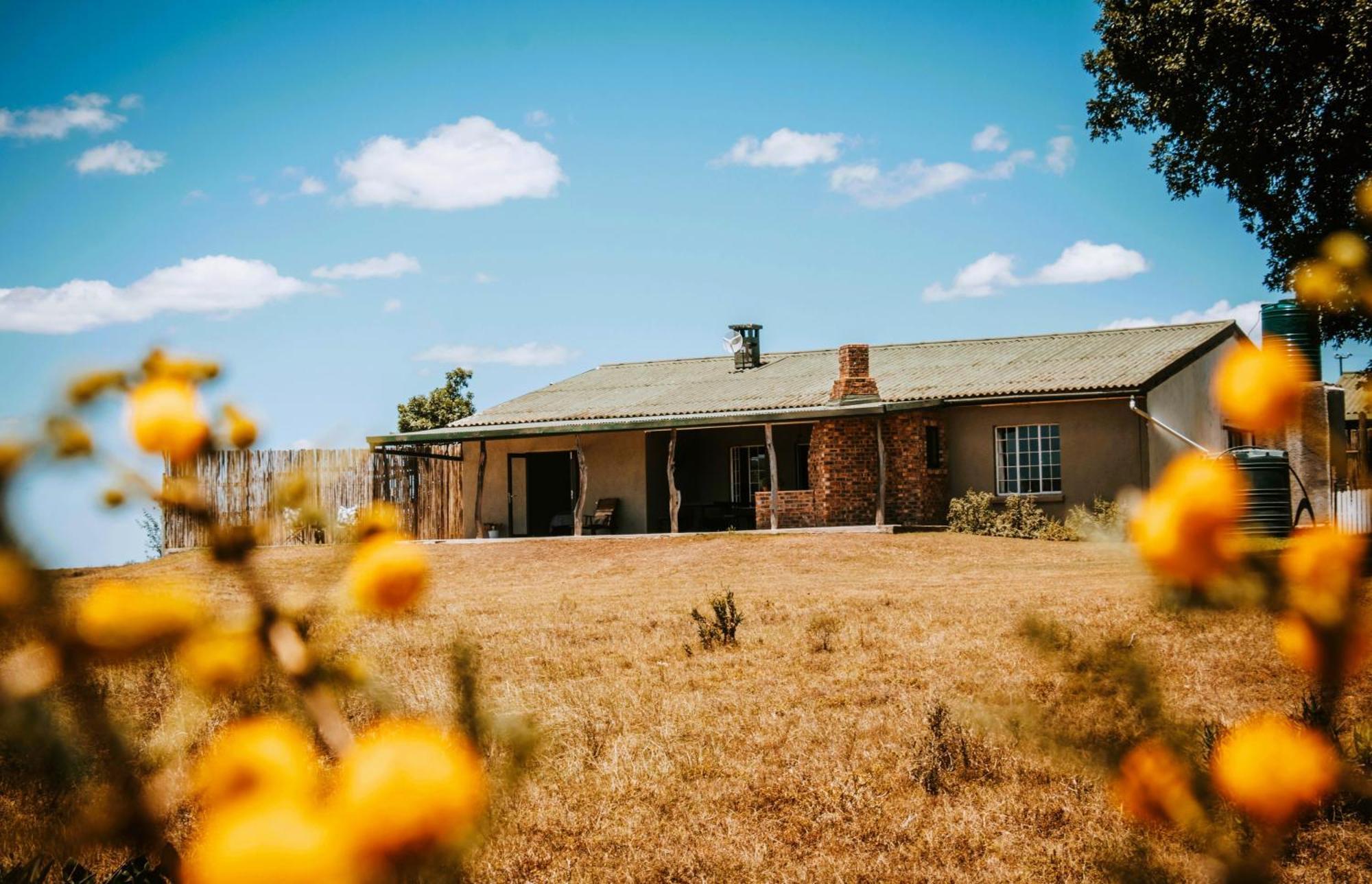 The Ranch House At African Safari Lodge Grahamstown Eksteriør billede